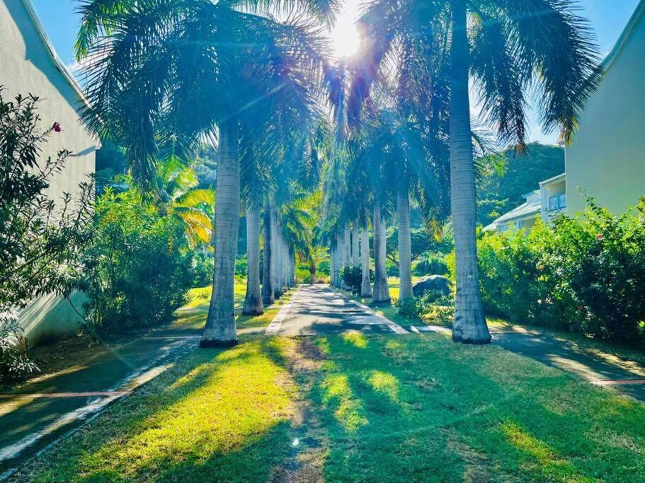 Le Palmier Bleu, Cocon Tropical, Plage & Piscine Anse Marcel ภายนอก รูปภาพ