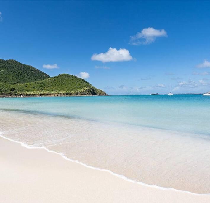 Le Palmier Bleu, Cocon Tropical, Plage & Piscine Anse Marcel ภายนอก รูปภาพ